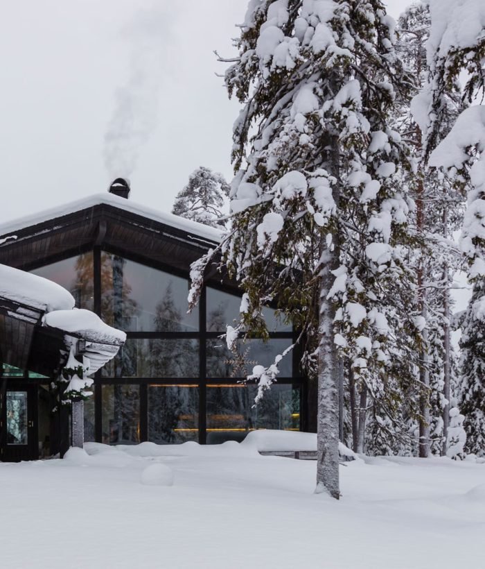 Dark facade color - log house - Honka