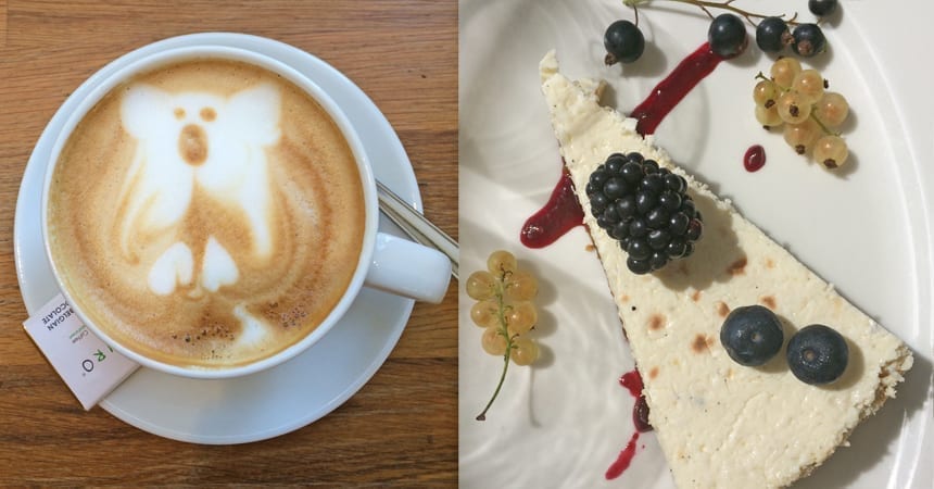 how-to-build-a-trendy-cafe