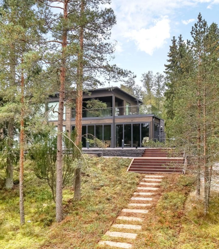 Dark facade color - log house - Honka