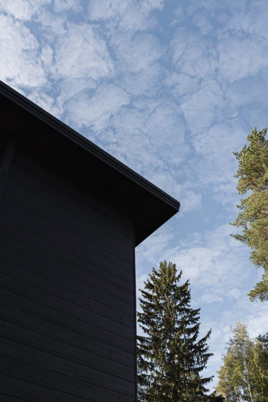 UNELMA Creative House – a unique office made of log in the middle of pine forest