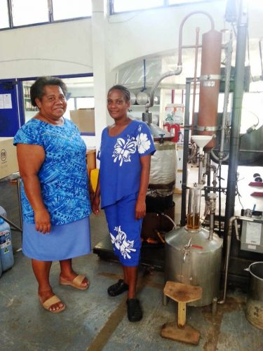 organic the summit Vanuatu essential oil extraction distillation & shop 3 - the girls
