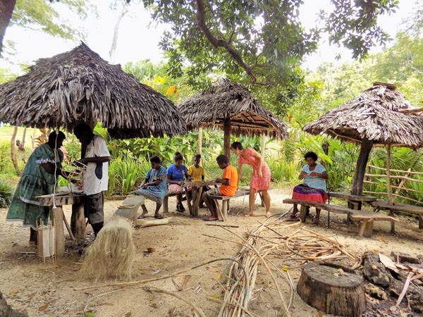 About ACTIV Natural Organic Online Shop & Blog in Vanuatu Aelan