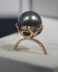 Black Tahitian Pearl Tusk Design 9K Gold Ring