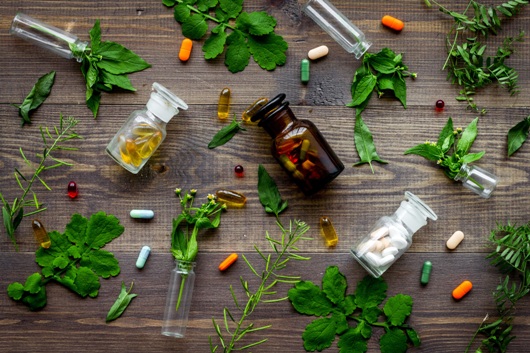 Herbs vs. Modern Medicine - Some Common Fallacies