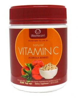 Natural Vitamin C 90 Vege Caps